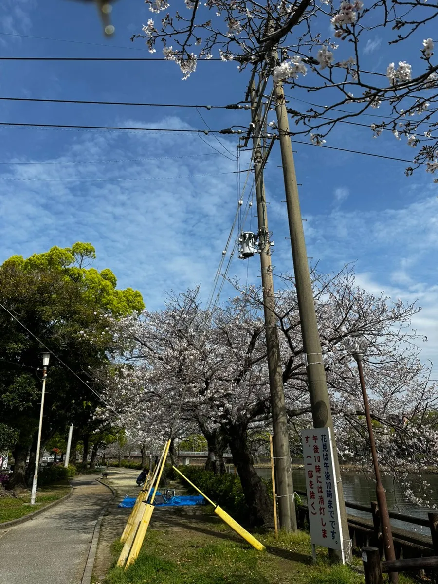 エステ WAM 桜の季節