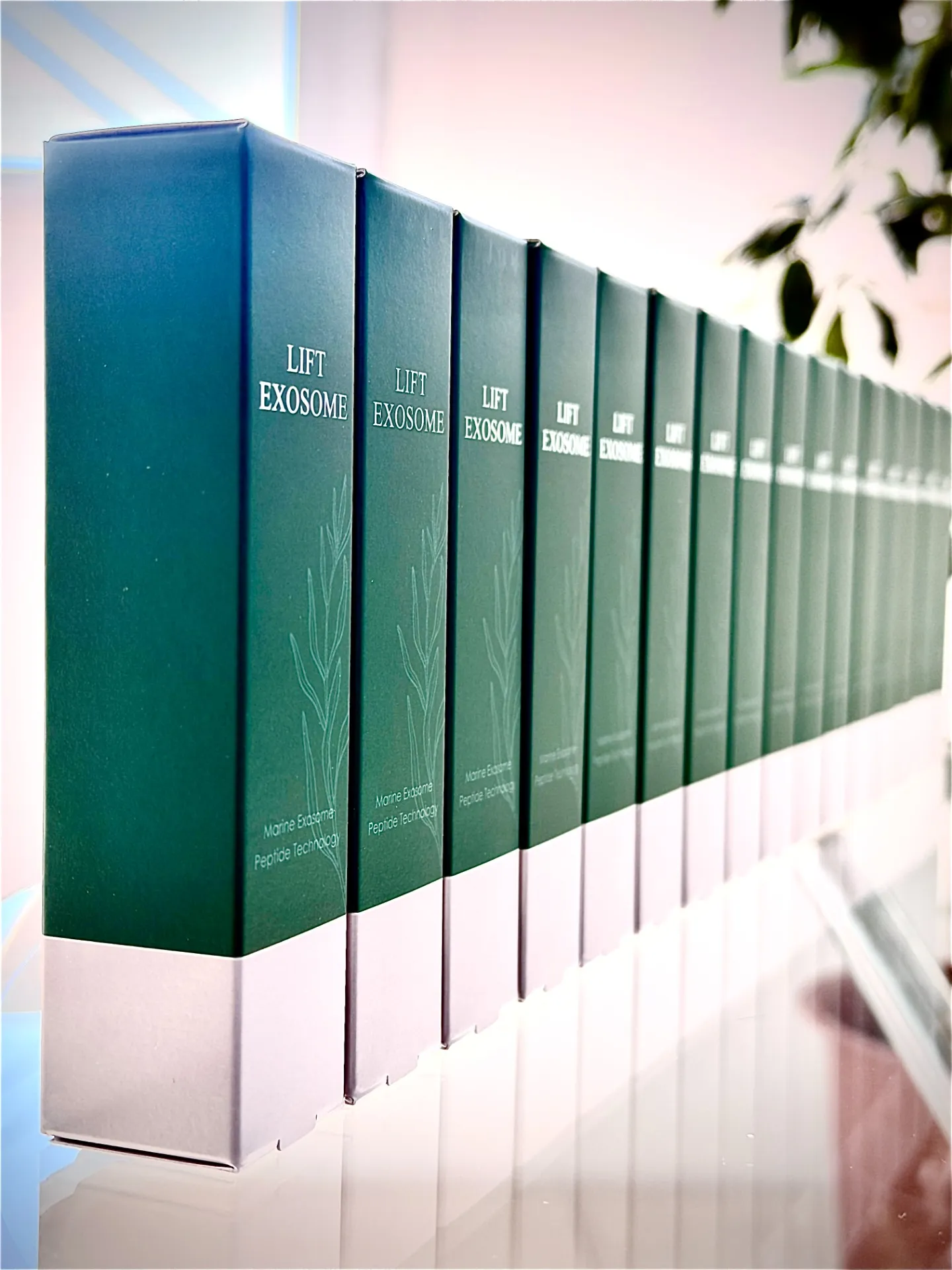 エステWAM 新製品