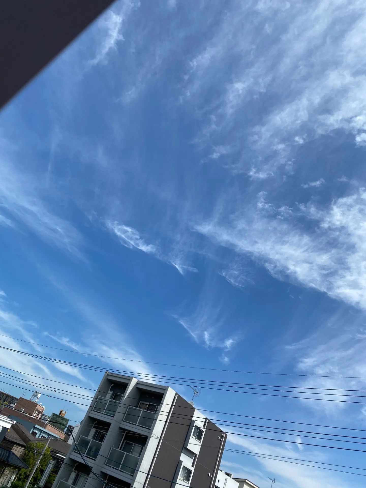 エステWAM 初夏のような4月