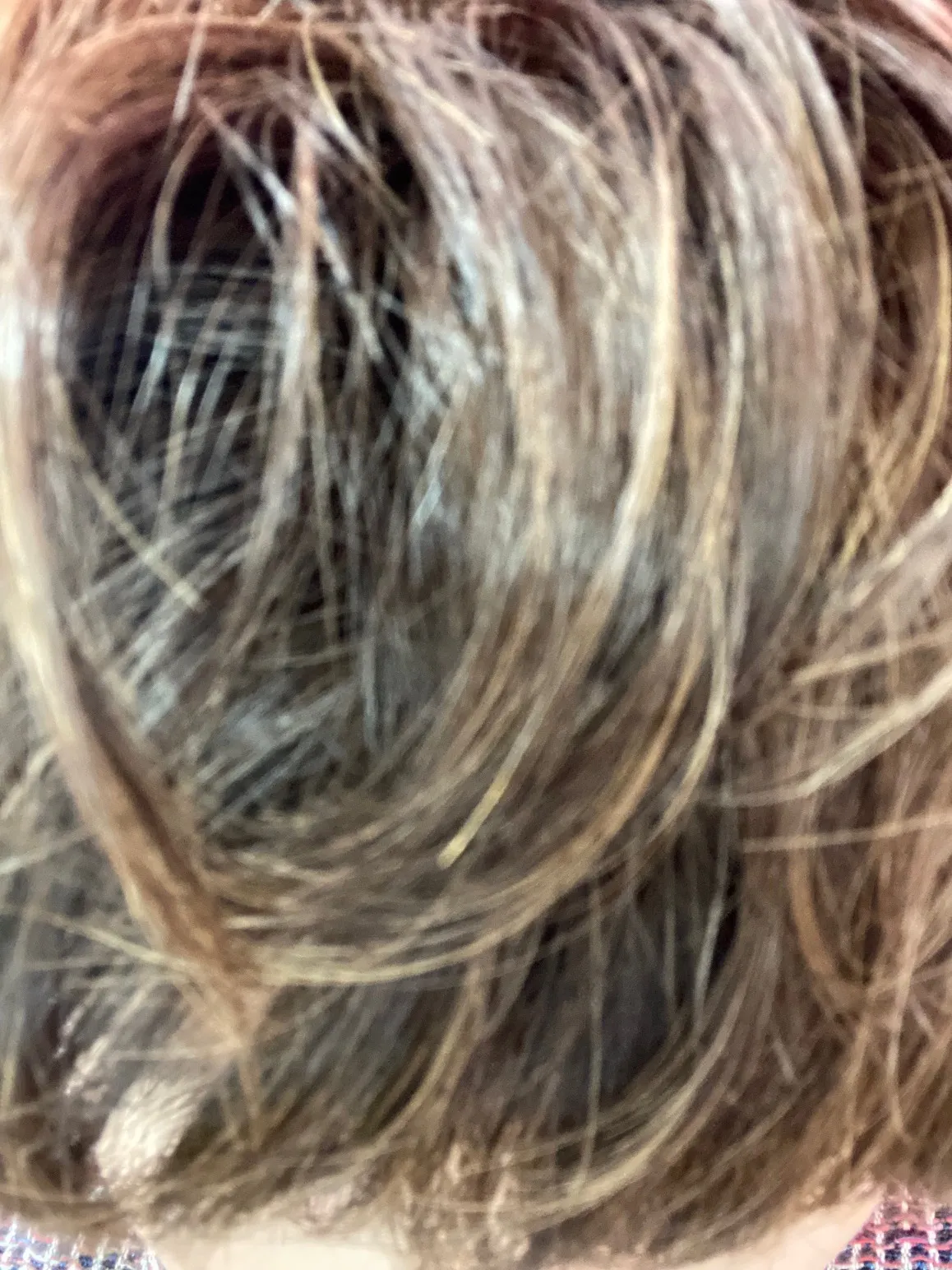 エステWAM 高齢 エイジングヘアー