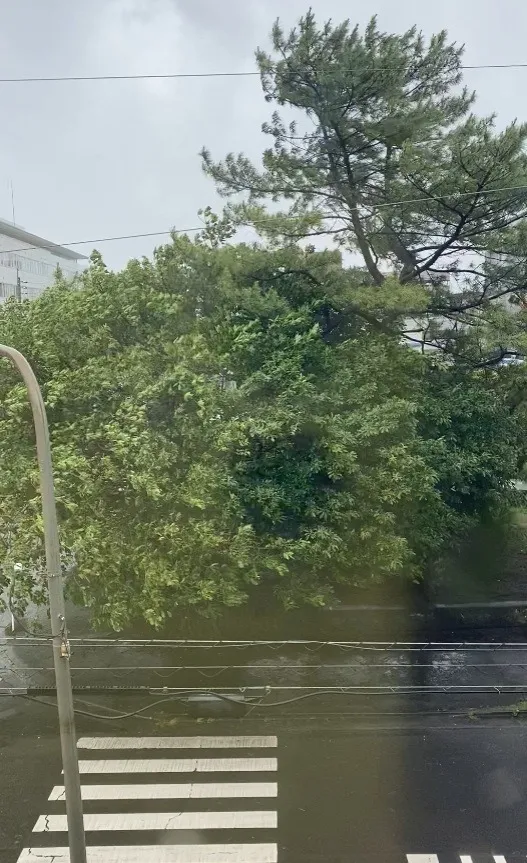 エステWAM 大風一過